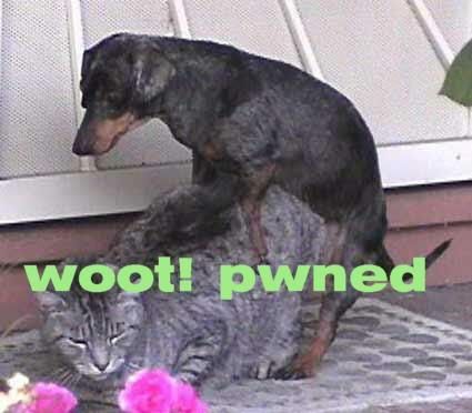 cat_and_dog_pwned.jpg