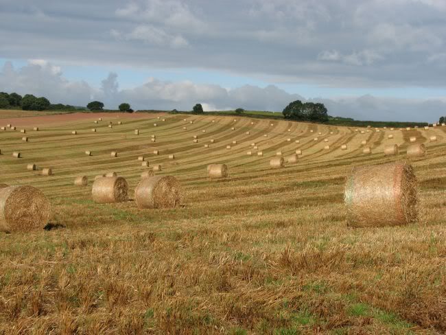 Bales.jpg