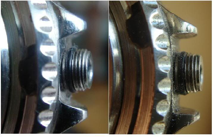 CGsnoobbeforeandafter.jpg