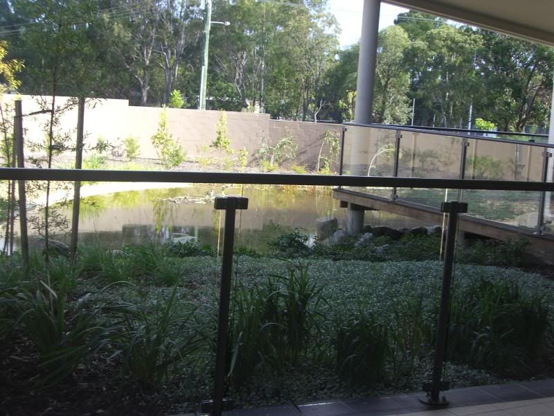pond beside cafe