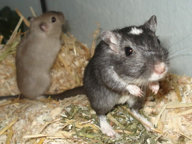 Abschlussfeier008-1.jpg