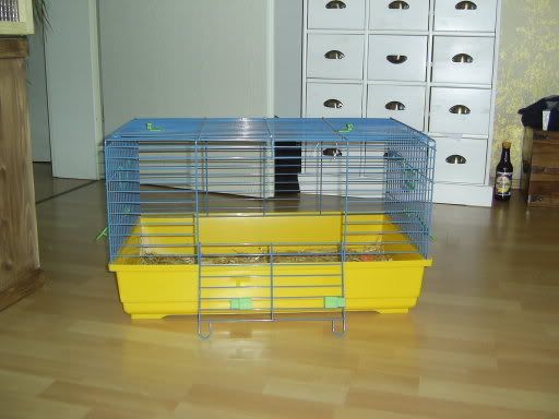 Inkie006.jpg