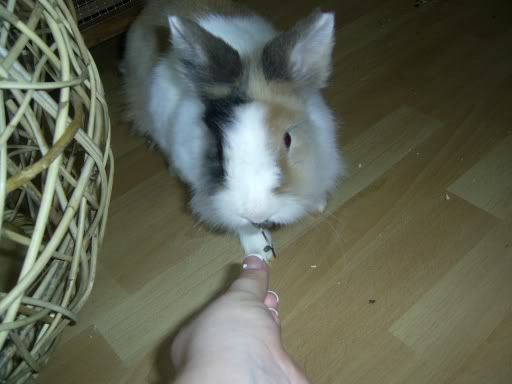Inkie2003.jpg