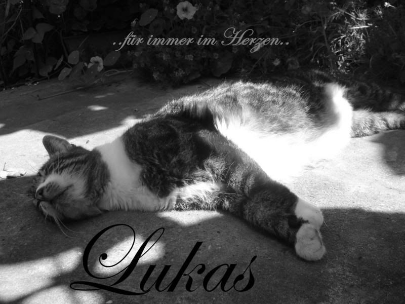 LUKAS.jpg