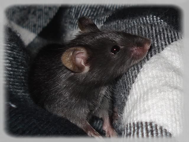 Wuermchen_5003.jpg