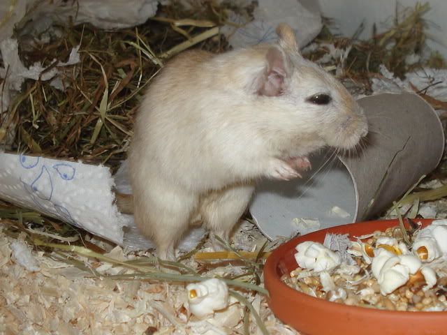 hmuw008.jpg