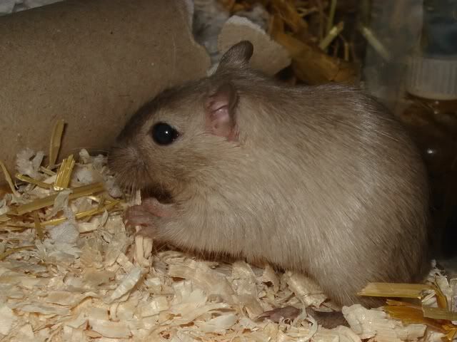 ksm005.jpg