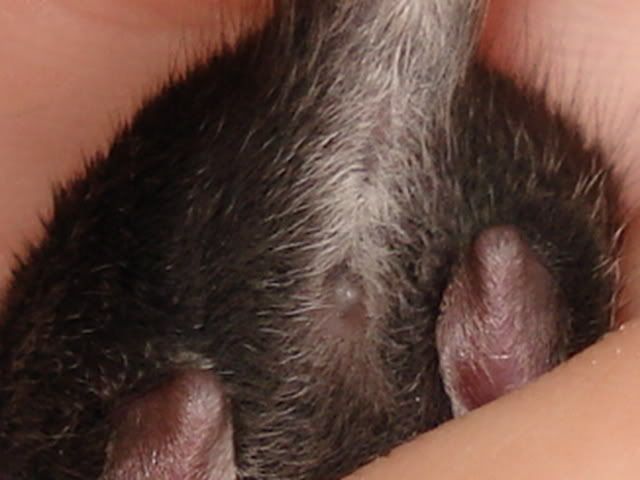 wuermchen_3003.jpg