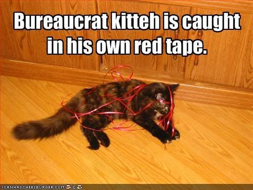 [Image: funny-pictures-bureaucrat-cat-is-ca.jpg]