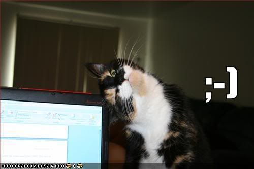 [Image: funny-pictures-cat-makes-a-winky-fa.jpg]