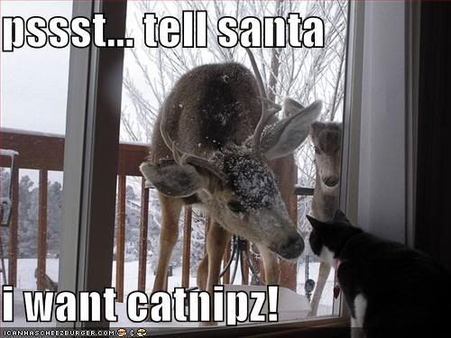 [Image: funny-pictures-cat-wants-catnip-for.jpg]