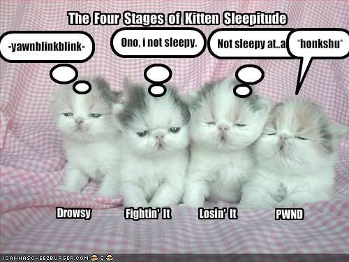 [Image: funny-pictures-four-stages-of-sleep.jpg]