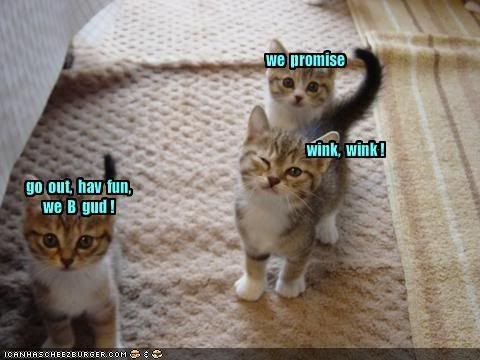 [Image: funny-pictures-kittens-promise-to-b.jpg]