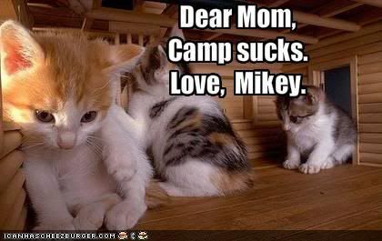[Image: funny-pictures-little-kitten-hates-.jpg]