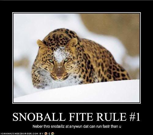 [Image: funny-pictures-rule-number-one-for-.jpg]