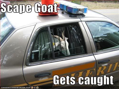 [Image: funny-pictures-the-scape-goat-gets-.jpg]