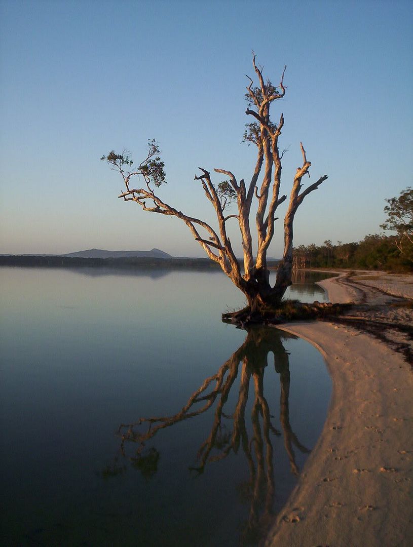 http://i6.photobucket.com/albums/y225/grugells/100_6073.jpg http://i6.photobucket.com/albums/y225/grugells/100_6073.jpg