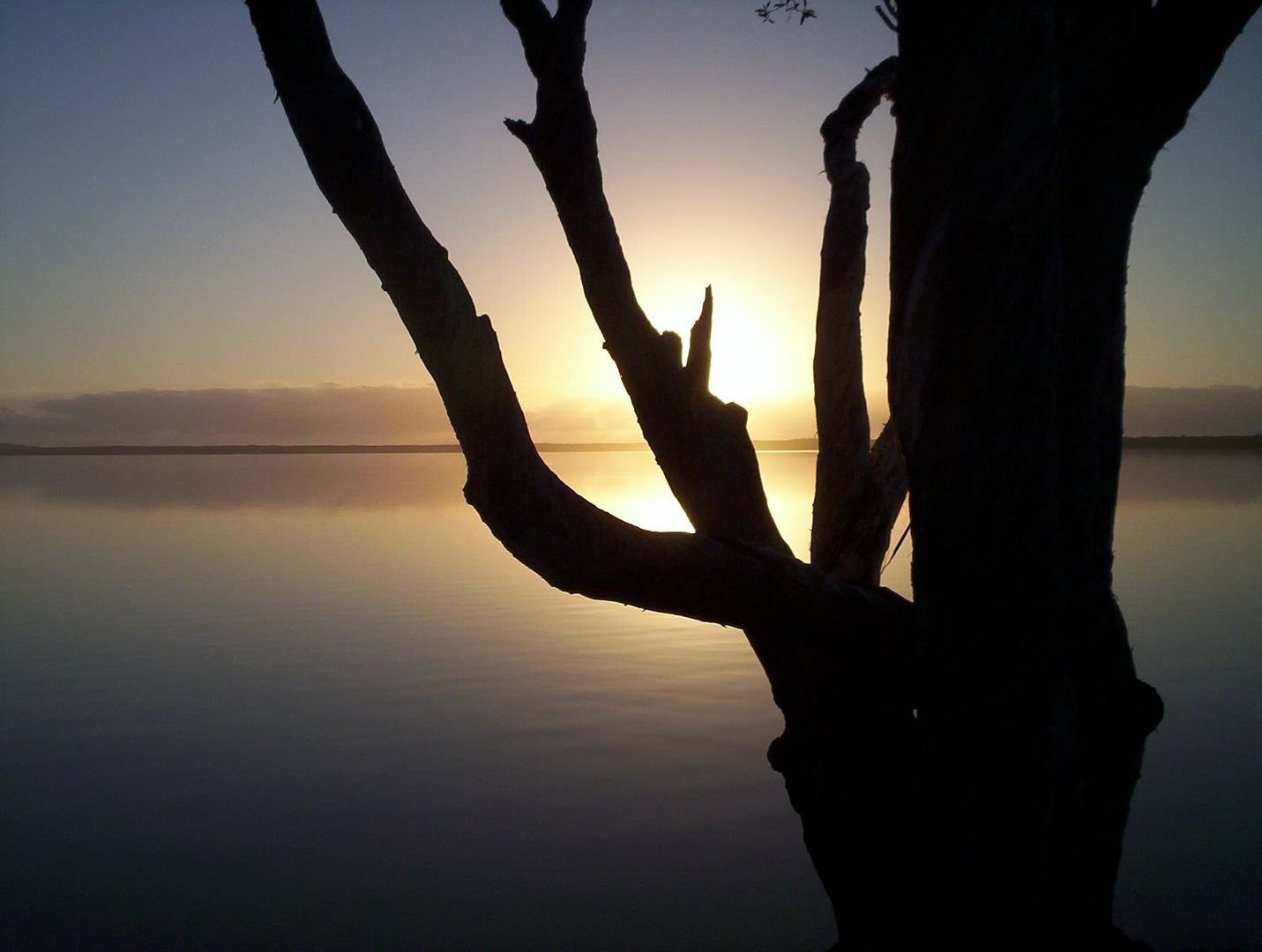http://i6.photobucket.com/albums/y225/grugells/100_6077.jpg http://i6.photobucket.com/albums/y225/grugells/100_6077.jpg