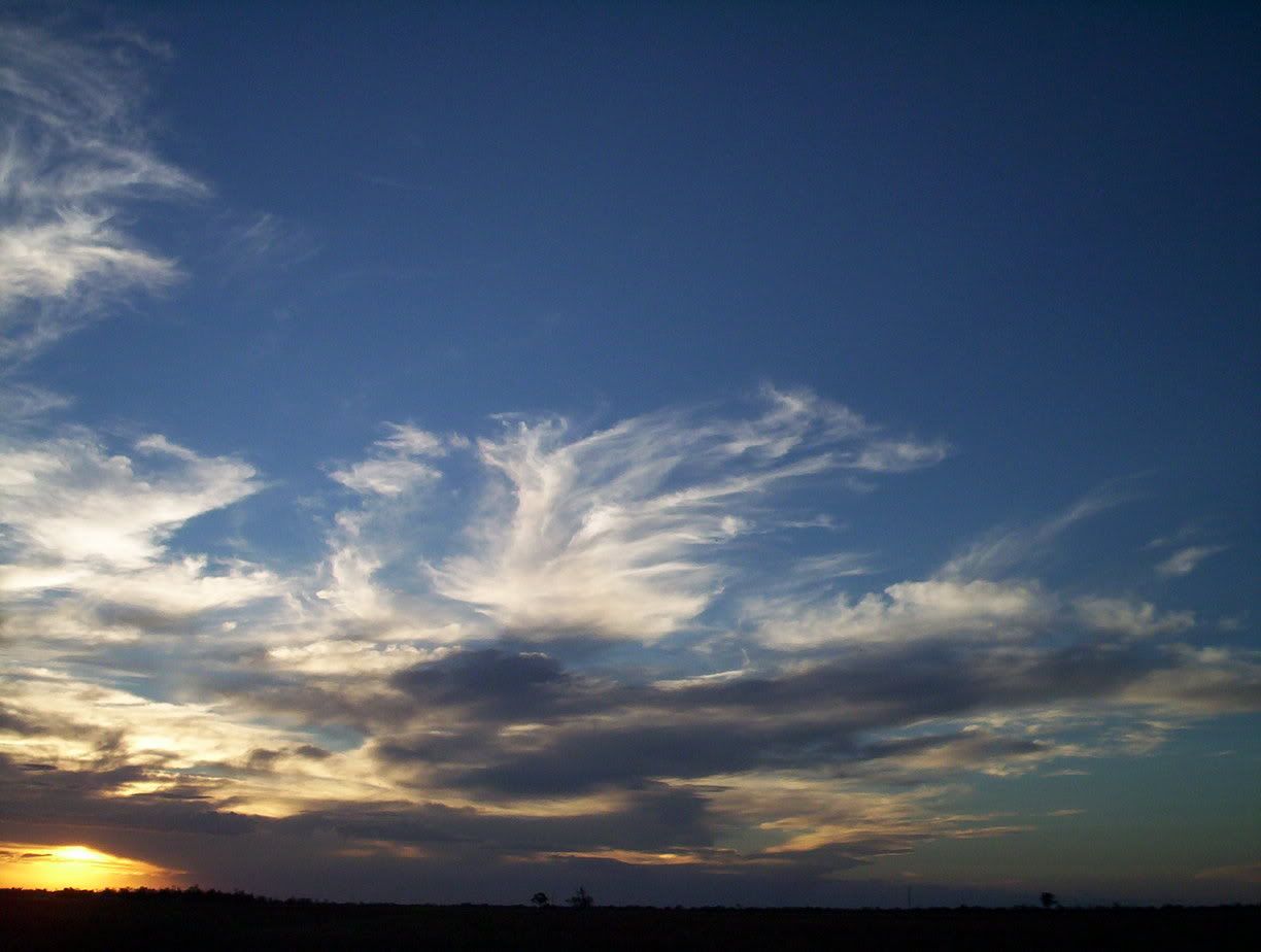 http://i6.photobucket.com/albums/y225/grugells/100_6197.jpg http://i6.photobucket.com/albums/y225/grugells/100_6197.jpg
