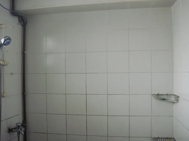 MasterBedroom_toilet_before03.jpg