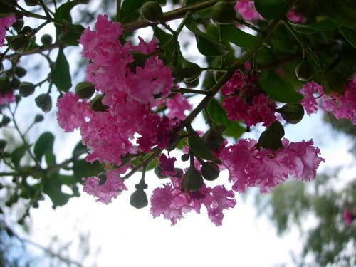 Image hosting by Photobucket