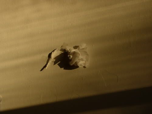 Image hosting by Photobucket