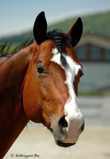 DSC_0129.jpg picture by Klara66