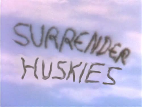surrender-huskies.jpg