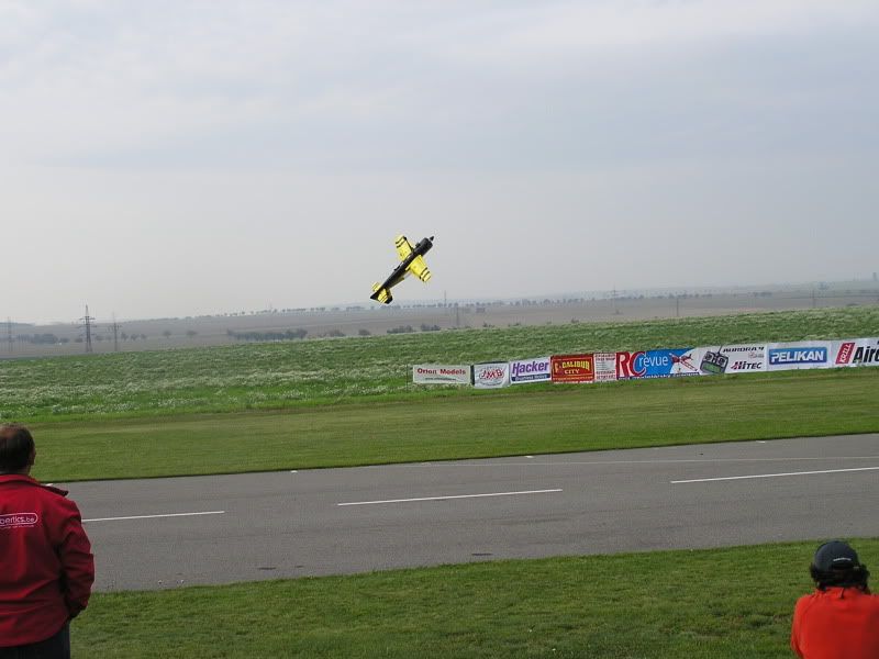 P1010014.jpg