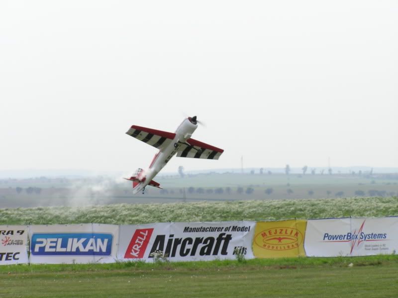 P1010093.jpg