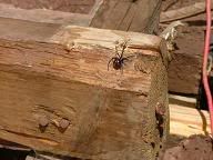 Image hosted by Photobucket.com