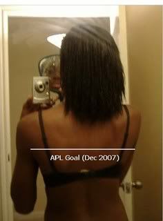 aplgoal-vi.jpg