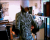 alidance.gif