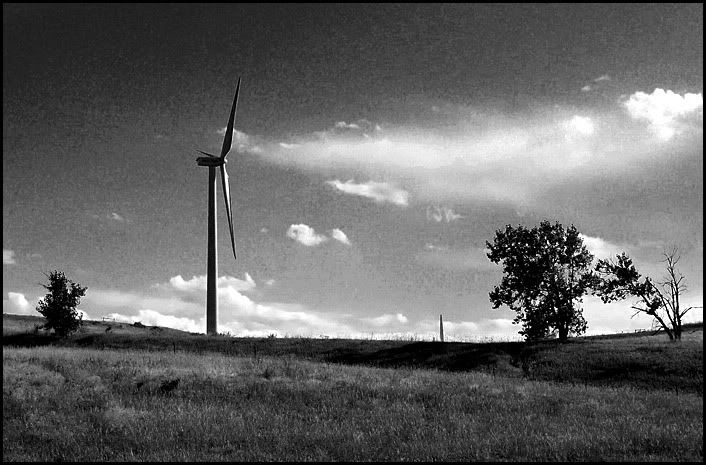 Wind Generator