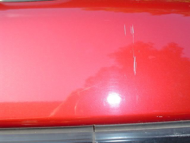 tn_DSC00036.jpg
