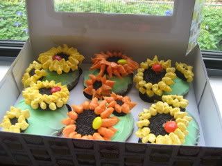 Sunflowers in a box