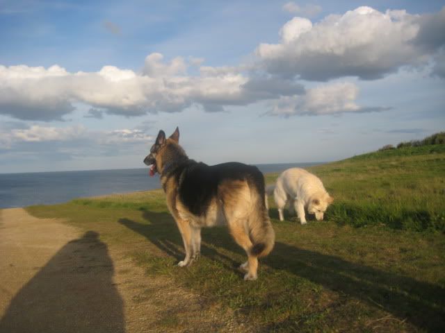 Pup210509004.jpg
