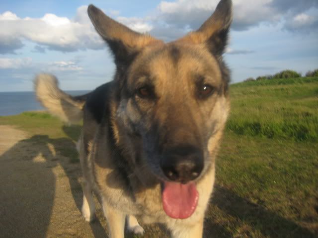 Pup210509005.jpg