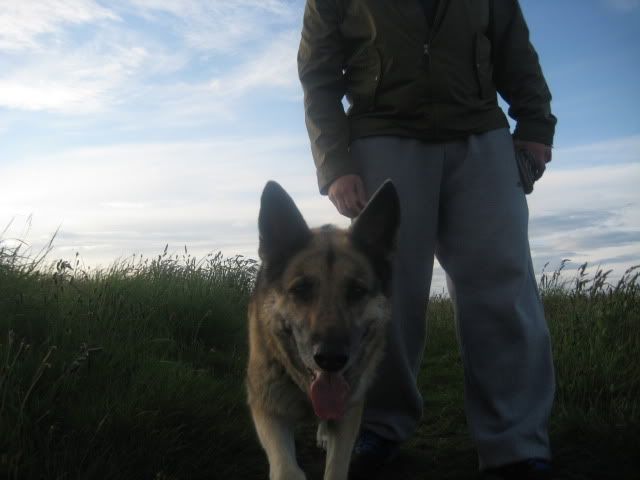 Pup210509008.jpg
