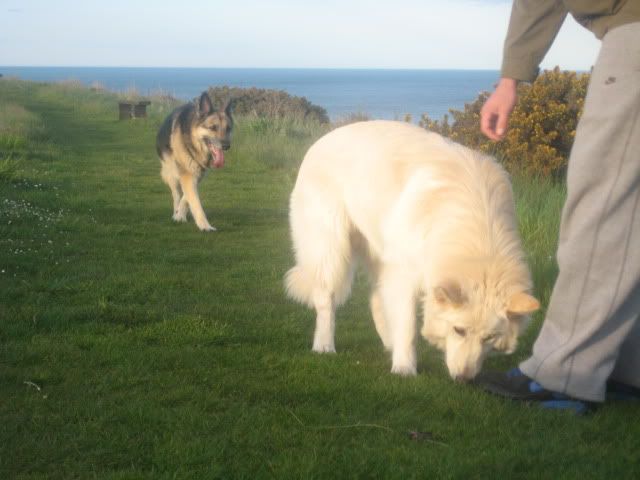 Pup210509011.jpg