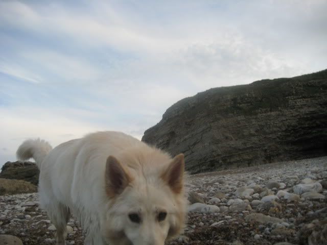 Pup210509016.jpg