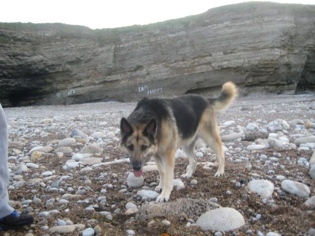 Pup210509017.jpg