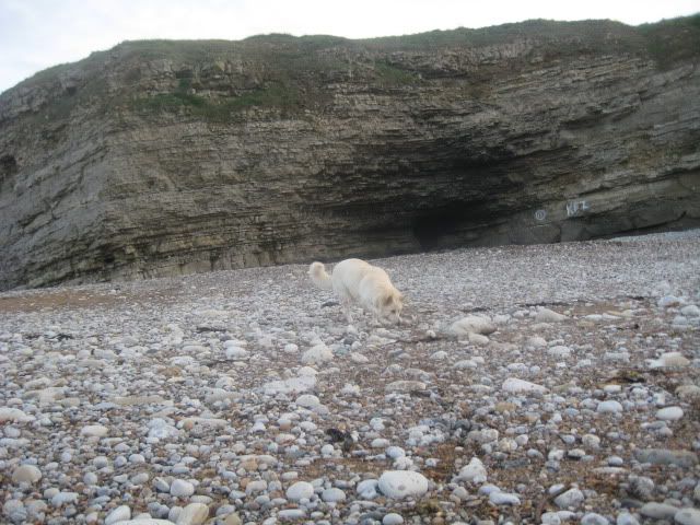 Pup210509019.jpg