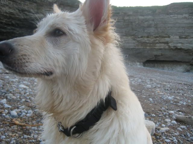 Pup210509020.jpg