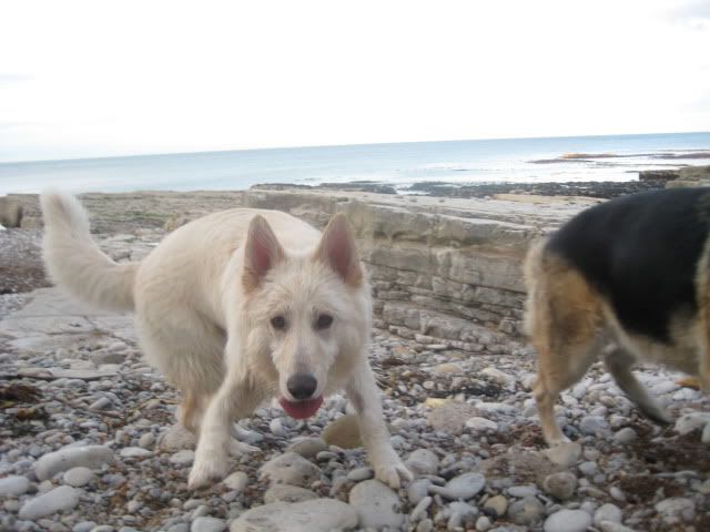 Pup210509022.jpg
