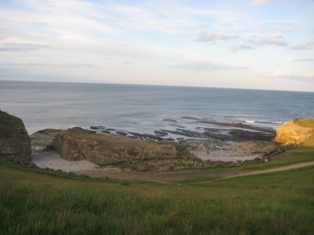 Pup210509023.jpg