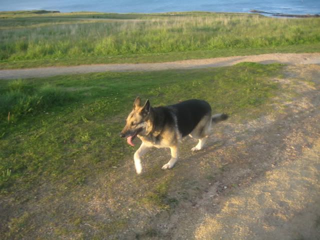 Pup210509025.jpg