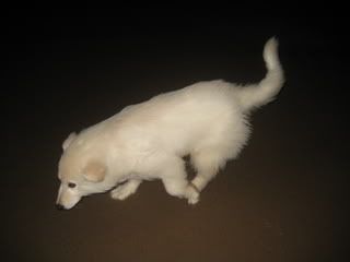 IMG_1954.jpg