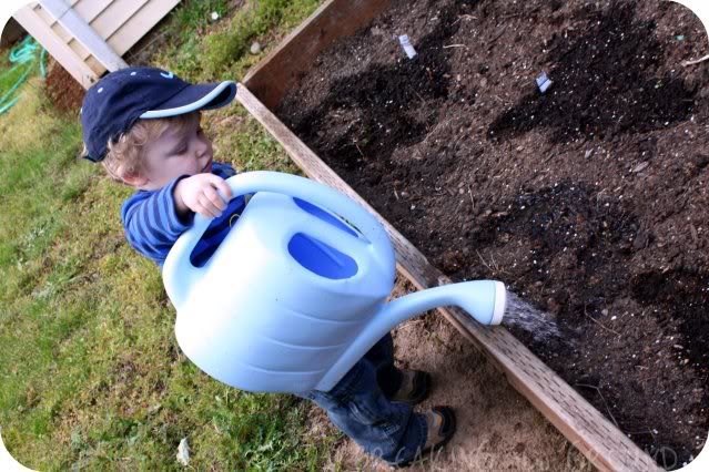 6.8.11 garden helper