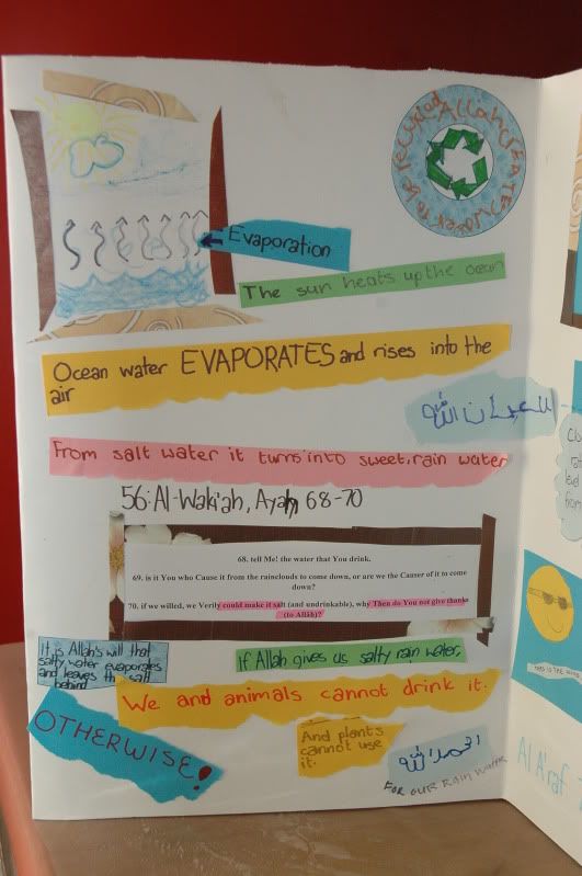 Water Cycle Model. Water cycle model.